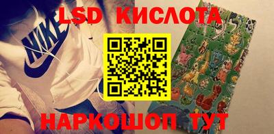 шишки Кандалакша