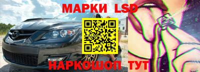 шишки Кандалакша