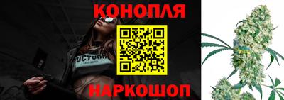 шишки Кандалакша