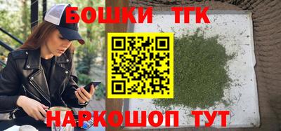 шишки Кандалакша