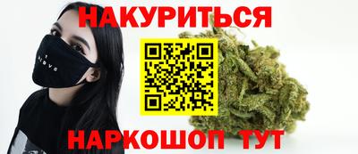шишки Кандалакша