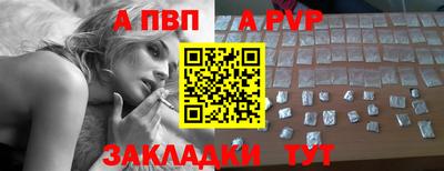шишки Кандалакша