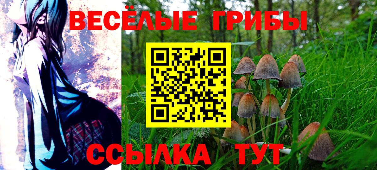 Галлюциногенные грибы мицелий Луга