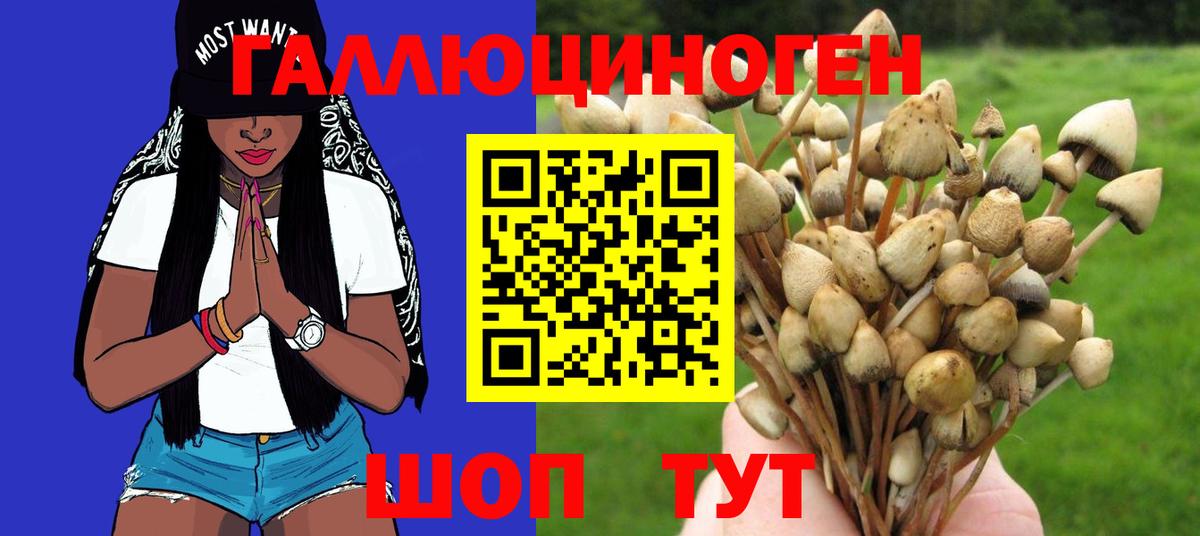 Луга  Псилоцибиновые грибы ЛСД  Вход с VPN 